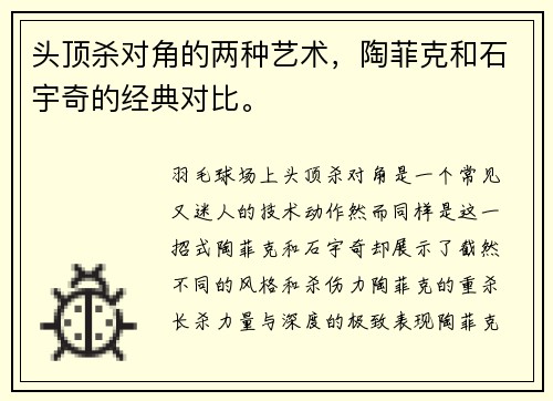头顶杀对角的两种艺术，陶菲克和石宇奇的经典对比。