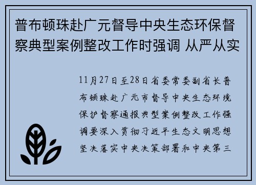 普布顿珠赴广元督导中央生态环保督察典型案例整改工作时强调 从严从实抓好整改 以高水平保护支撑高质量发展