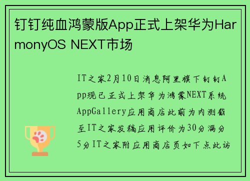 钉钉纯血鸿蒙版App正式上架华为HarmonyOS NEXT市场