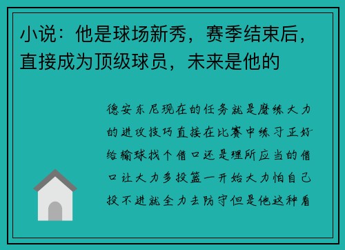 小说：他是球场新秀，赛季结束后，直接成为顶级球员，未来是他的
